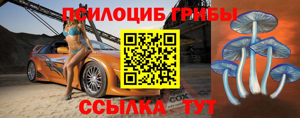 Галлюциногенные грибы Psilocybine cubensis Углич