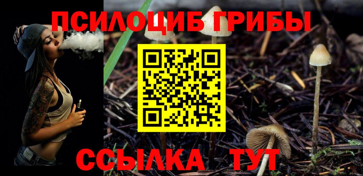 наркошоп  Вход с VPN  Углич  Псилоцибиновые грибы мухоморы 